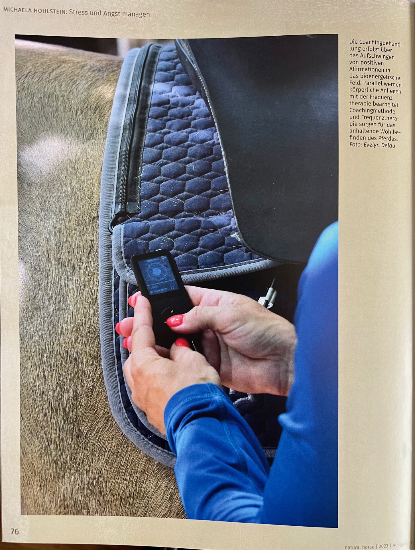 Artikel Natural Horse 01-2023 S. 6.jpg